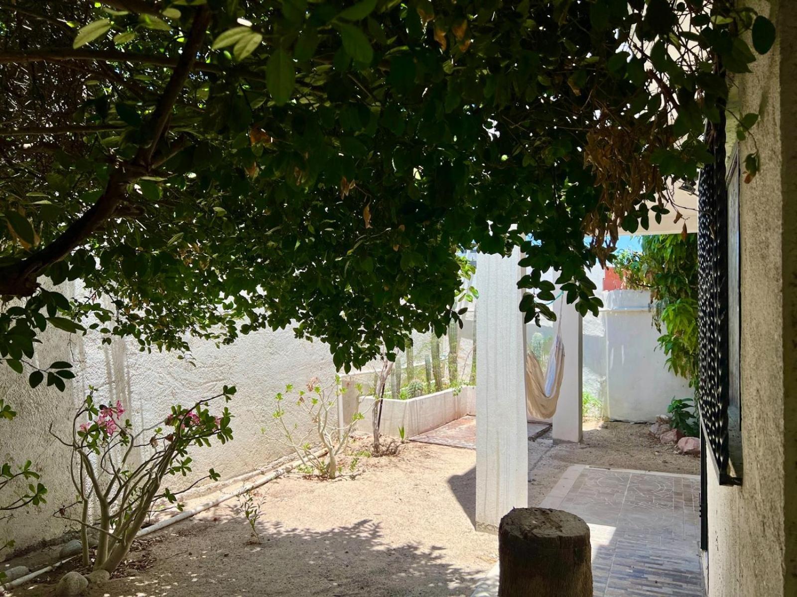 La Casa Del Pescador Daire La Paz Dış mekan fotoğraf