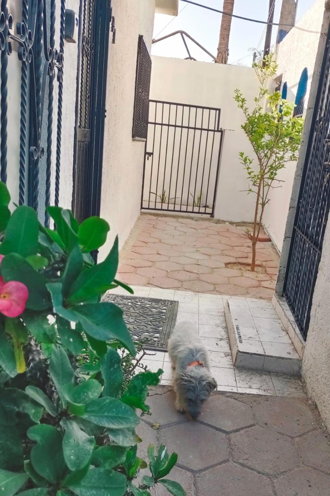 La Casa Del Pescador Daire La Paz Dış mekan fotoğraf